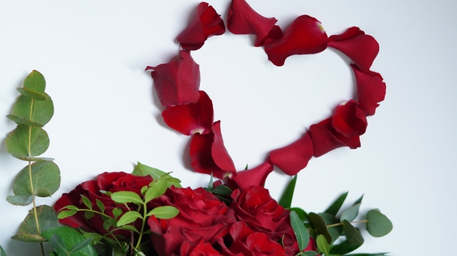 红色爱心玫瑰花瓣玫瑰花摄影图片