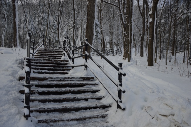 冬日雪景图片