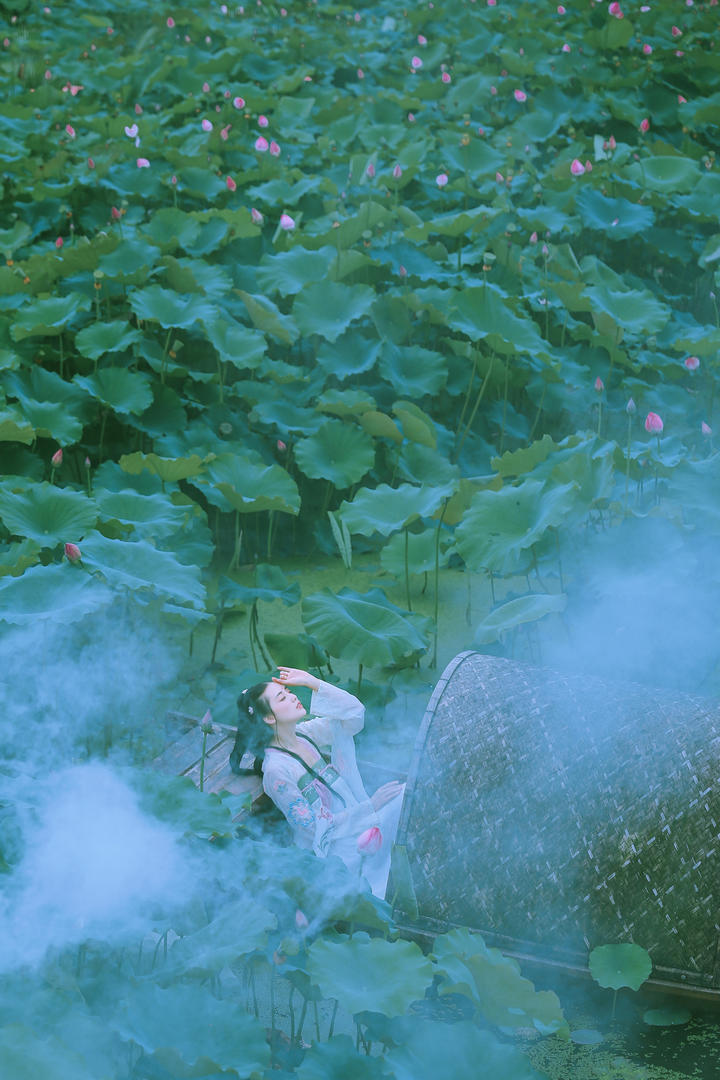 荷花池中的唯美古装美女图片