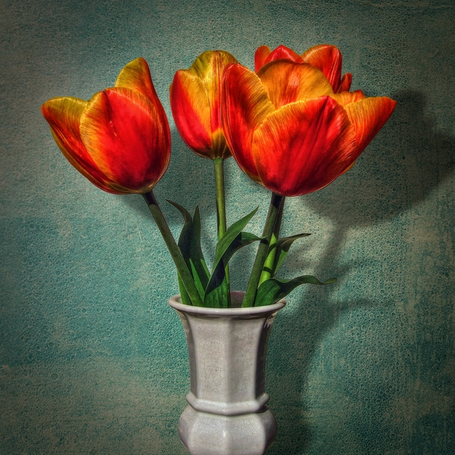 古董花瓶橙色郁金香插花图片