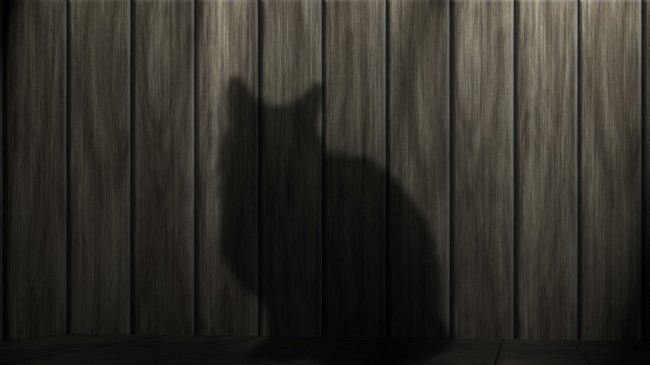 猫影子木纹背景图片
