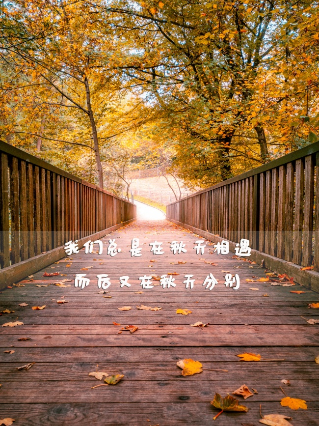 秋季唯美说说图片