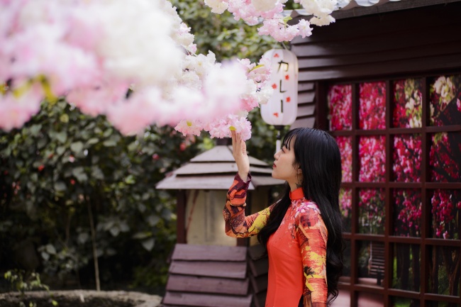 站在樱花树下的美女图片