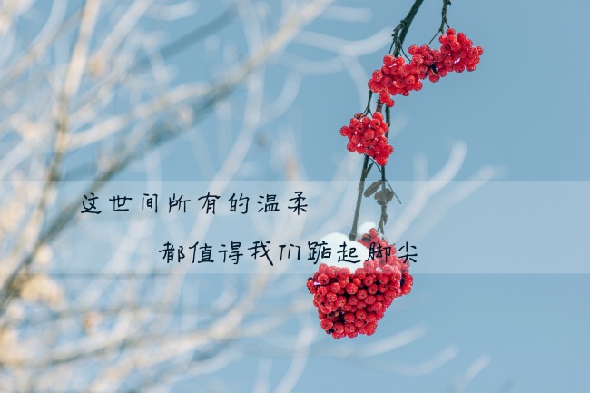 暖心治愈系说说带图片