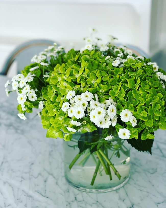 三叶草绣球花洋甘菊插花图片