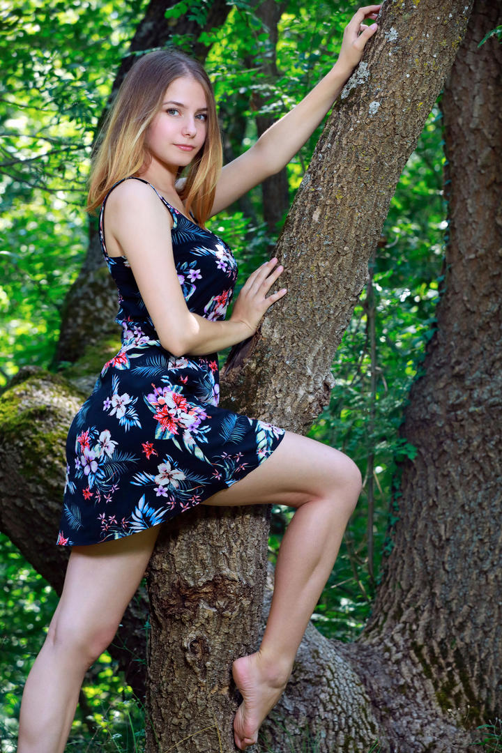 爬到树上的欧美专区美女模特写真图片