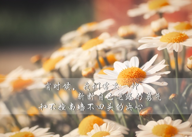 生活励志语录图片