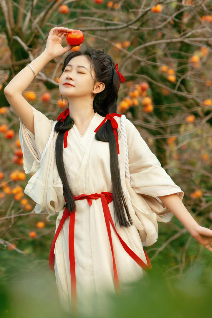 采摘柿子的古装美女唯美高清壁纸图片