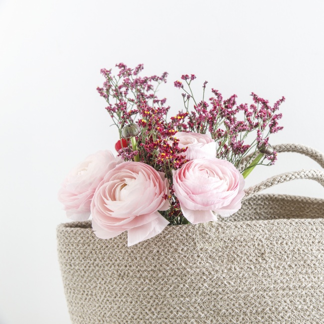 粉色娇嫩玫瑰花图片