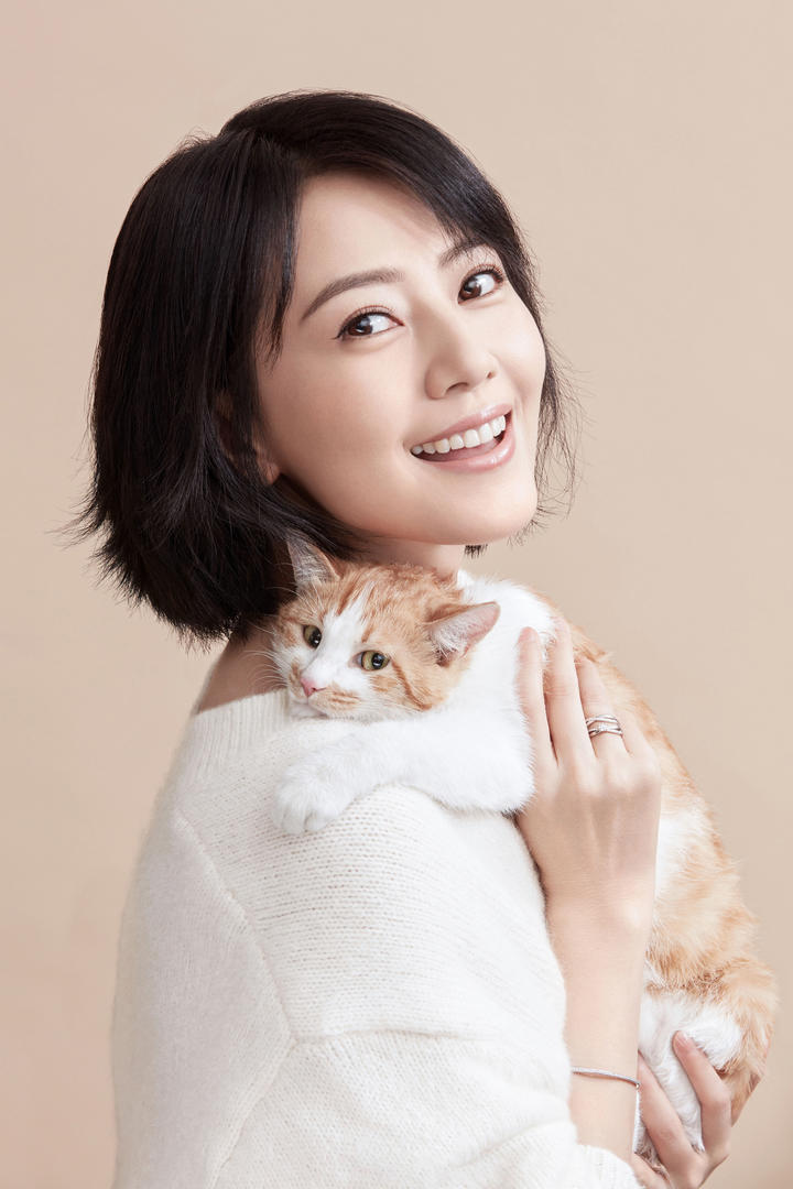 抱着猫咪的可爱清纯女神高圆圆美女明星壁纸图片大全