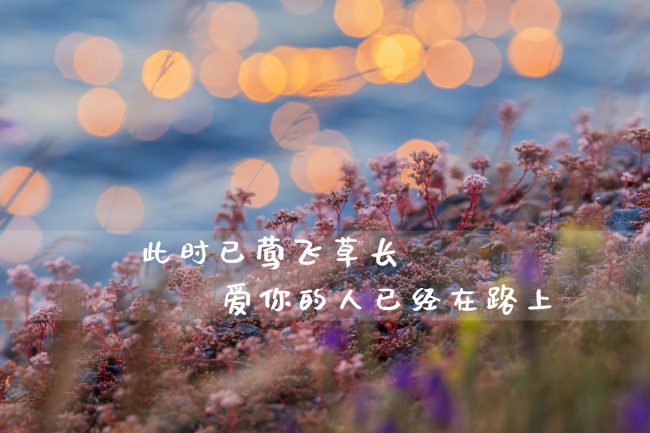 心情说说配图