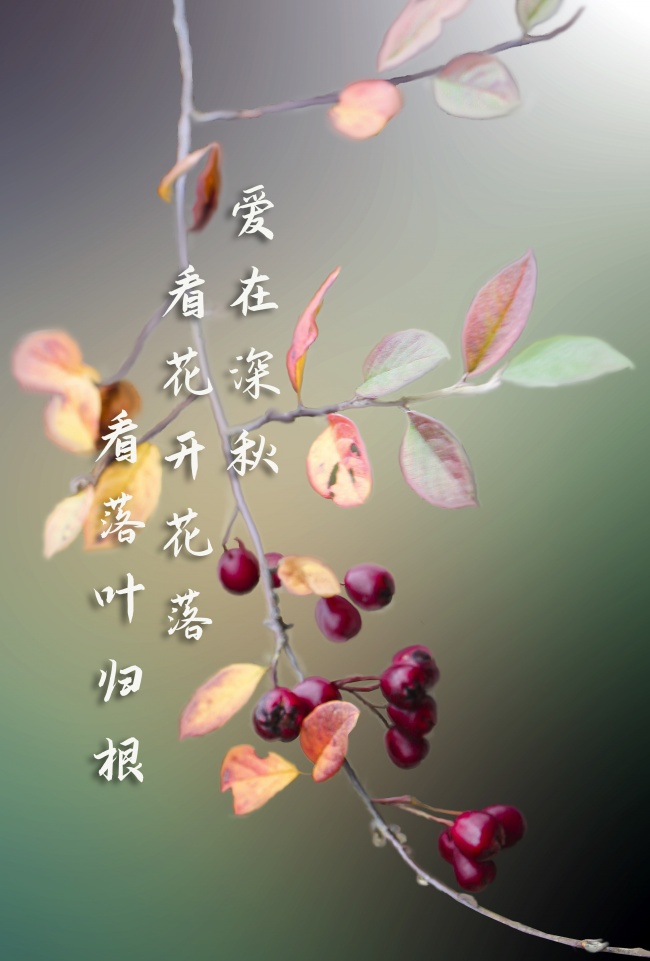深秋文字控图片