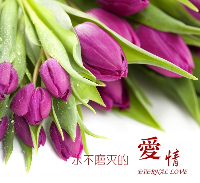 爱情图片带字