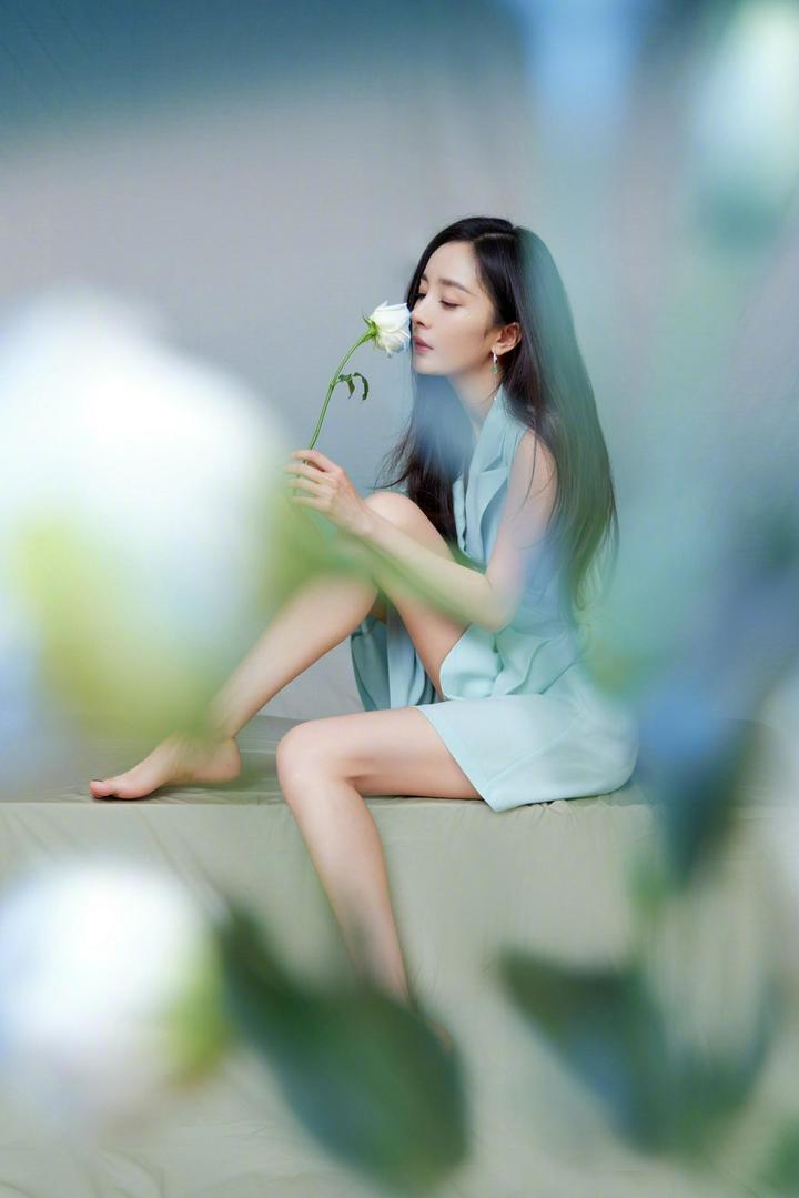 拿着白玫瑰的美女明星杨幂写真图片