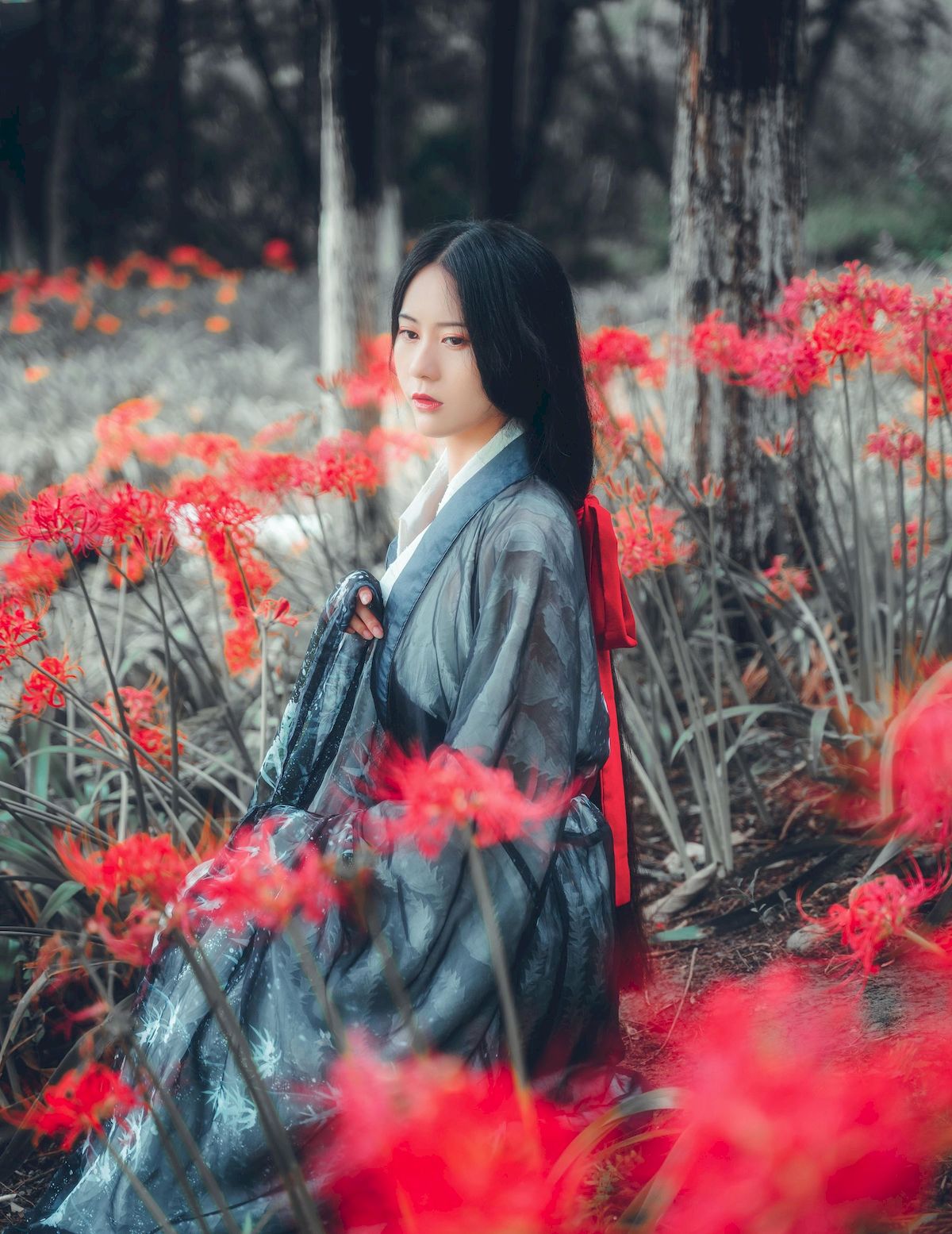 古典美女野外彼岸花丛中身着汉服 让人沉醉其中