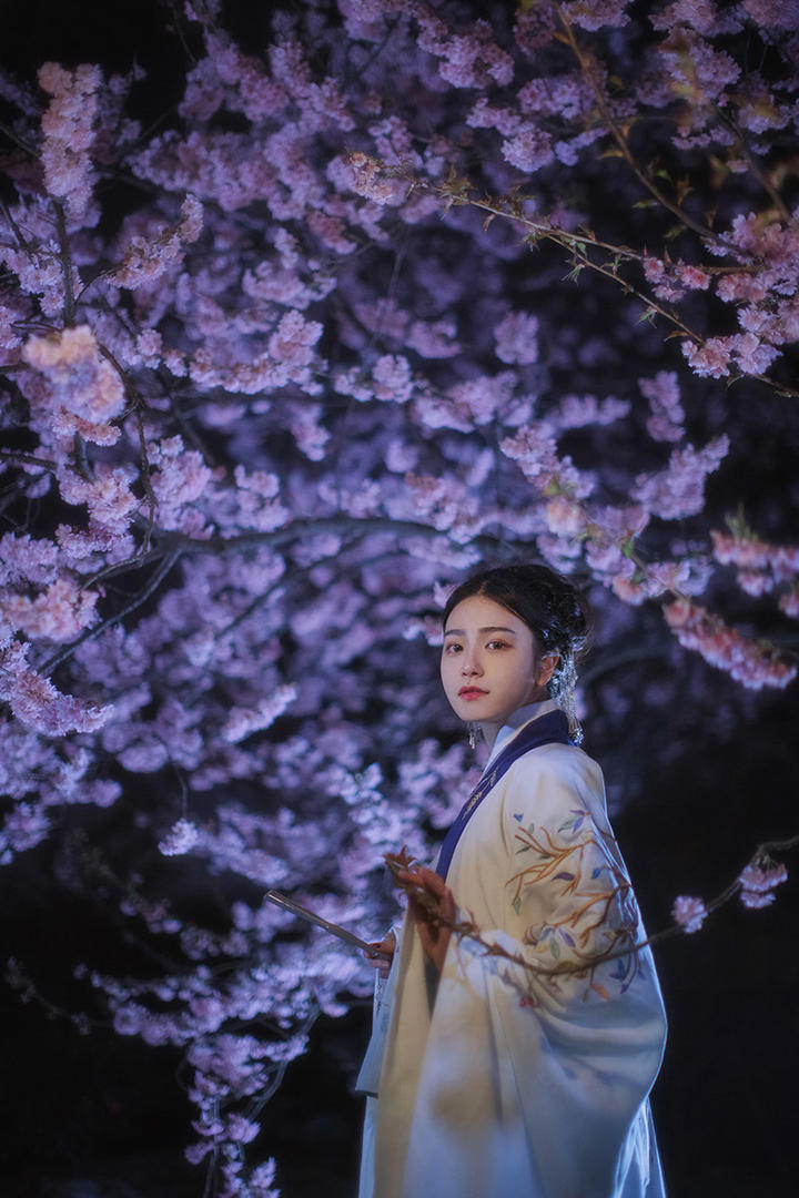 桃花树下的古装美女人像艺术摄影图片
