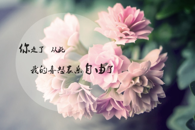 心情文字图片
