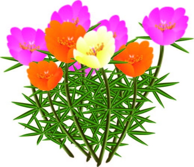 卡通太阳花图片