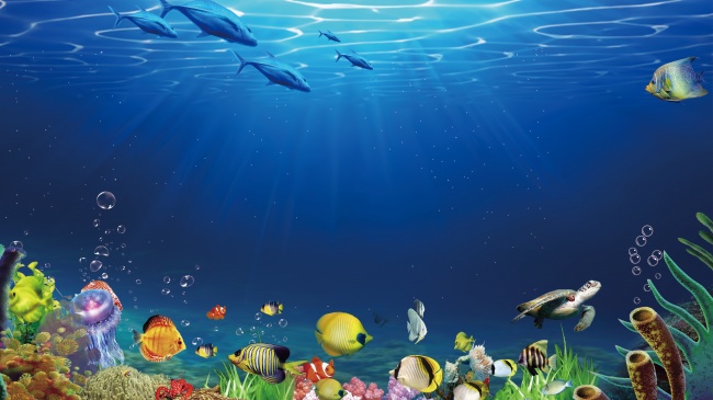 高清水族馆背景图片