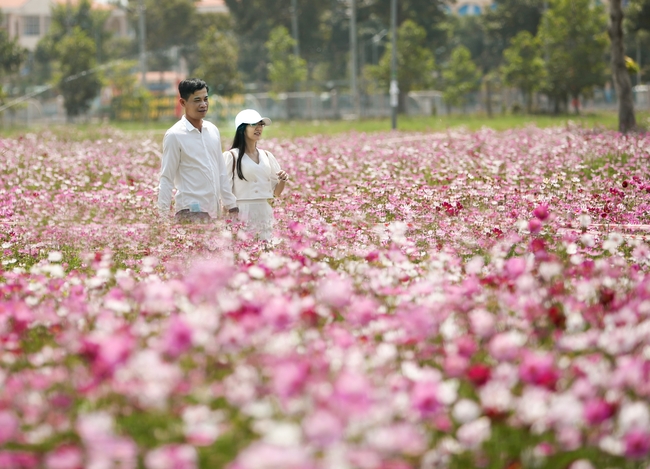浪漫花海情侣风景图片