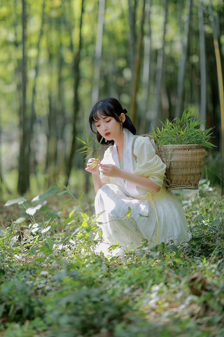 采草药的唯美古典美女写真图片