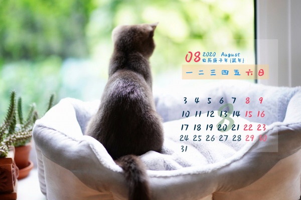 2020年8月日历图片
