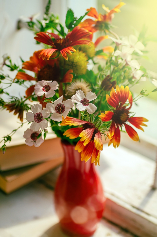 窗台小清新插花摄影图片