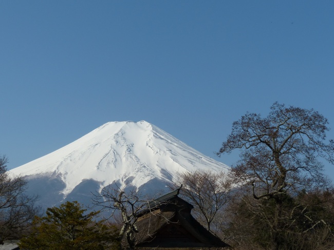 富士山图片