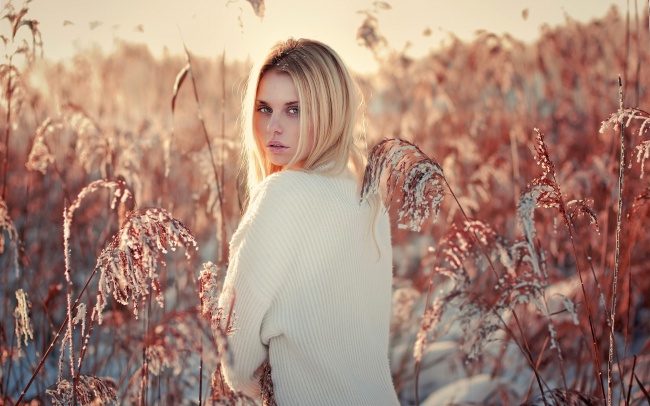 背影女神人体写真摄影