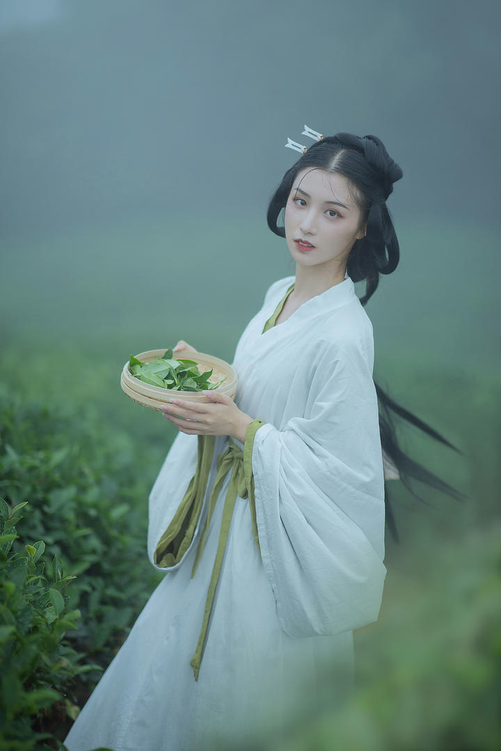捧着茶叶的古风采茶女高清美女壁纸图片大全