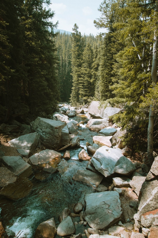 绿色密林山涧图片