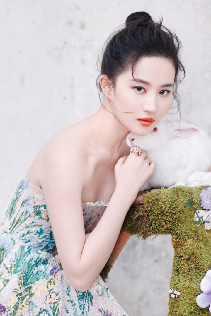 抱着小白兔的华裔气质美女刘亦菲高清写真图片