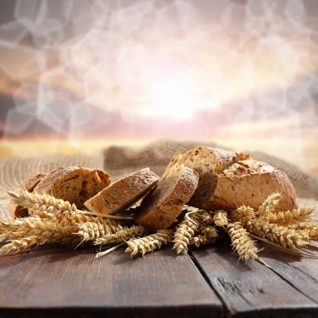 麦穗与切片面包图片