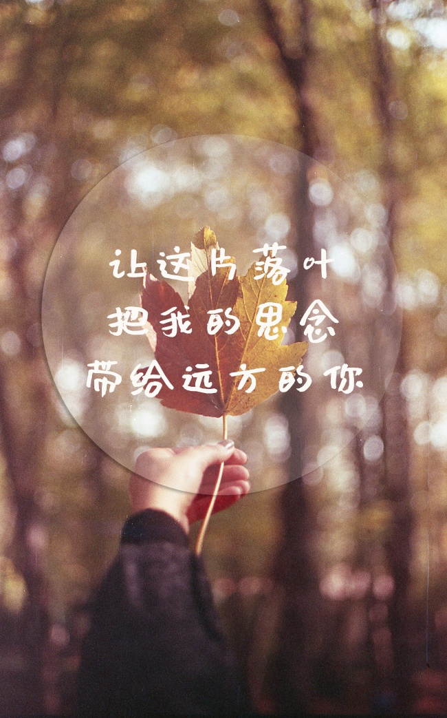 秋天关于思念的文字图片