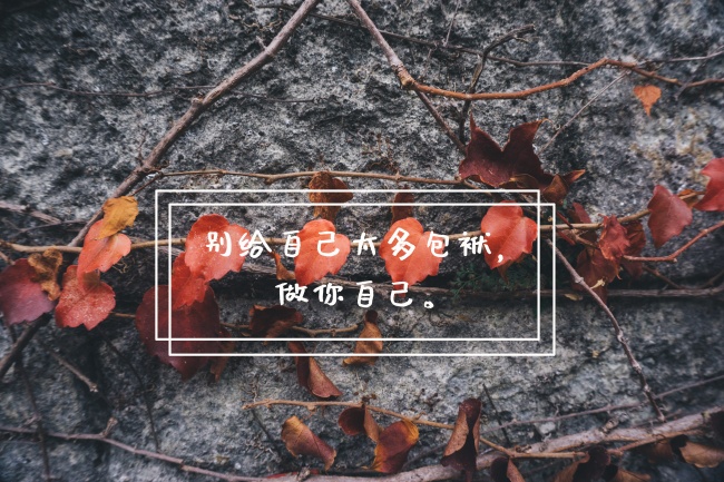 励志正能量语录图片