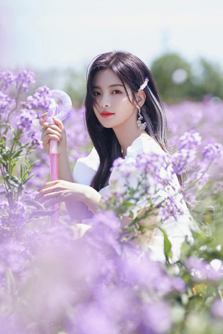 薰衣草花丛中的美女明星杨超越图片