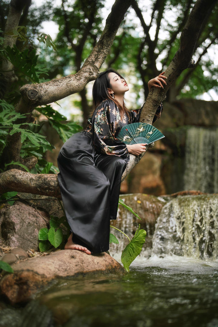 坐在树上的气质美女模特个人艺术照摄影图片