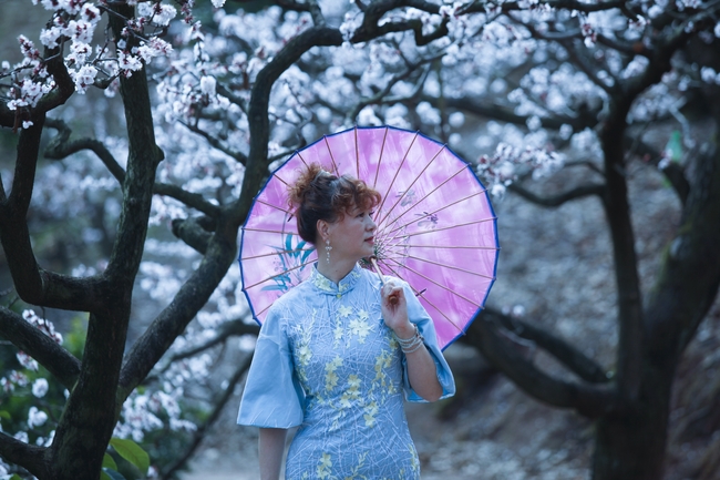 白色樱花林穿旗袍古典美女图片