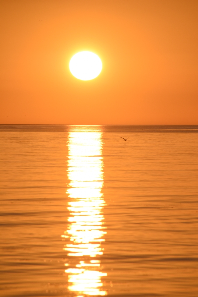 黄昏大海夕阳照射在海平面上图片