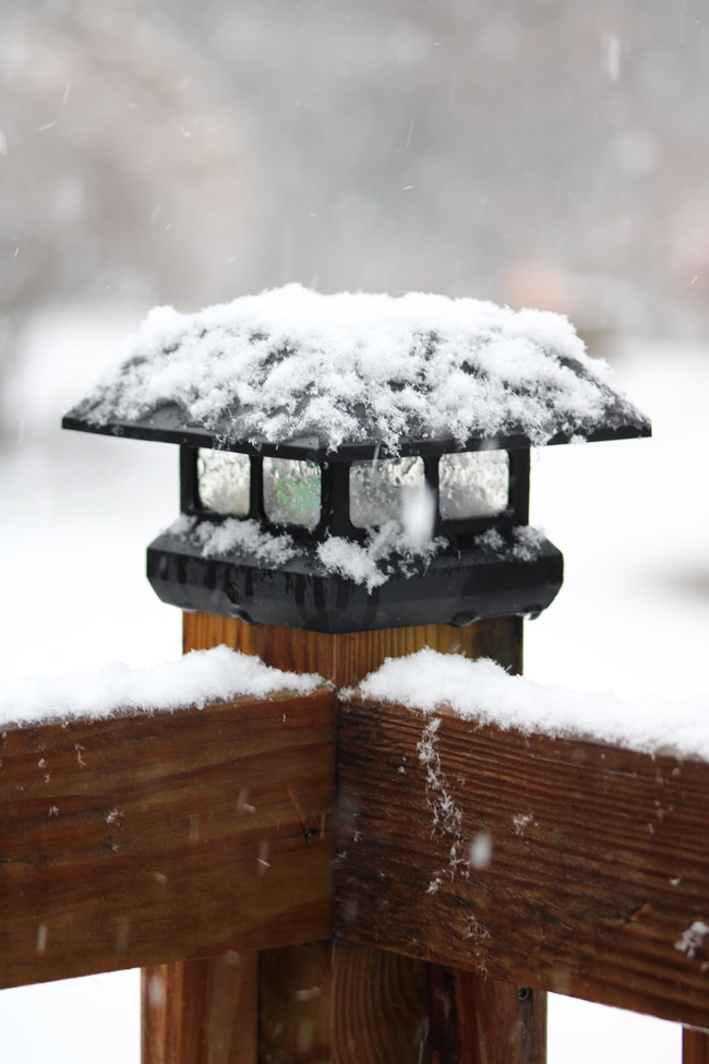 冬季甲板柱雪景摄影图片