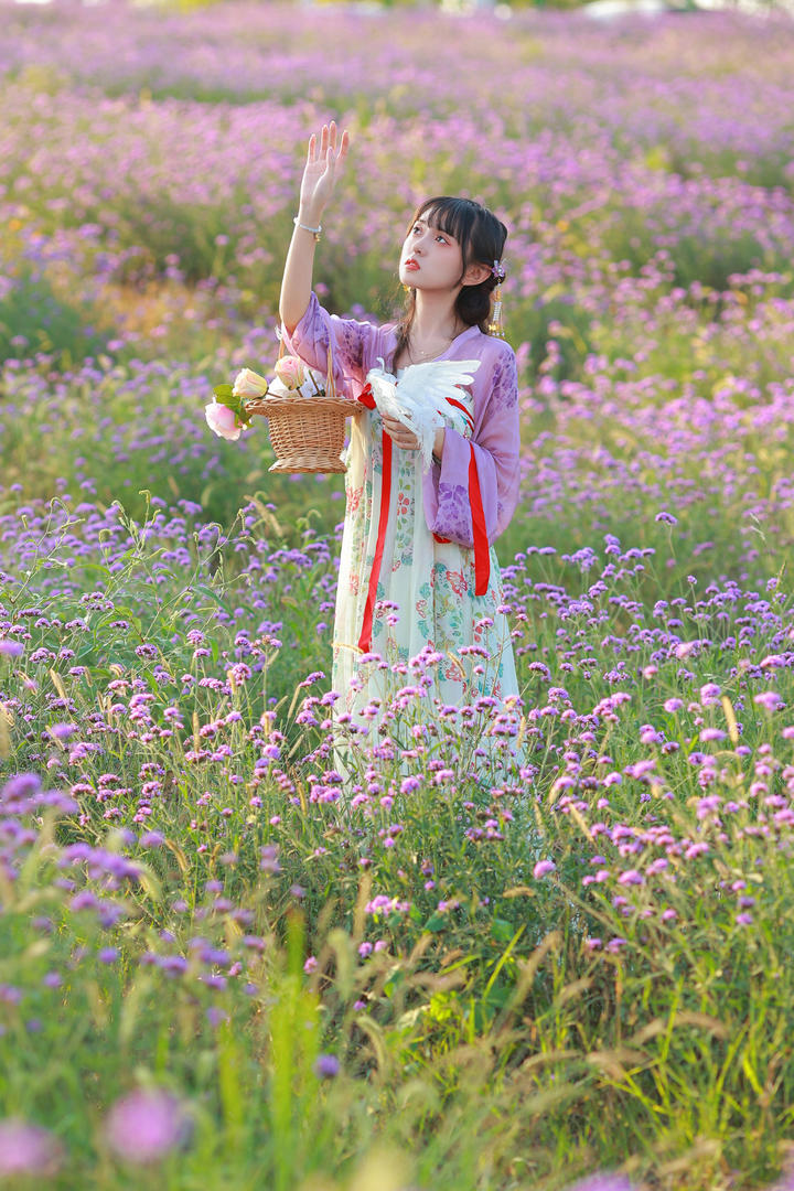 薰衣草花丛中的清纯古装小美女个人艺术摄影图片专区
