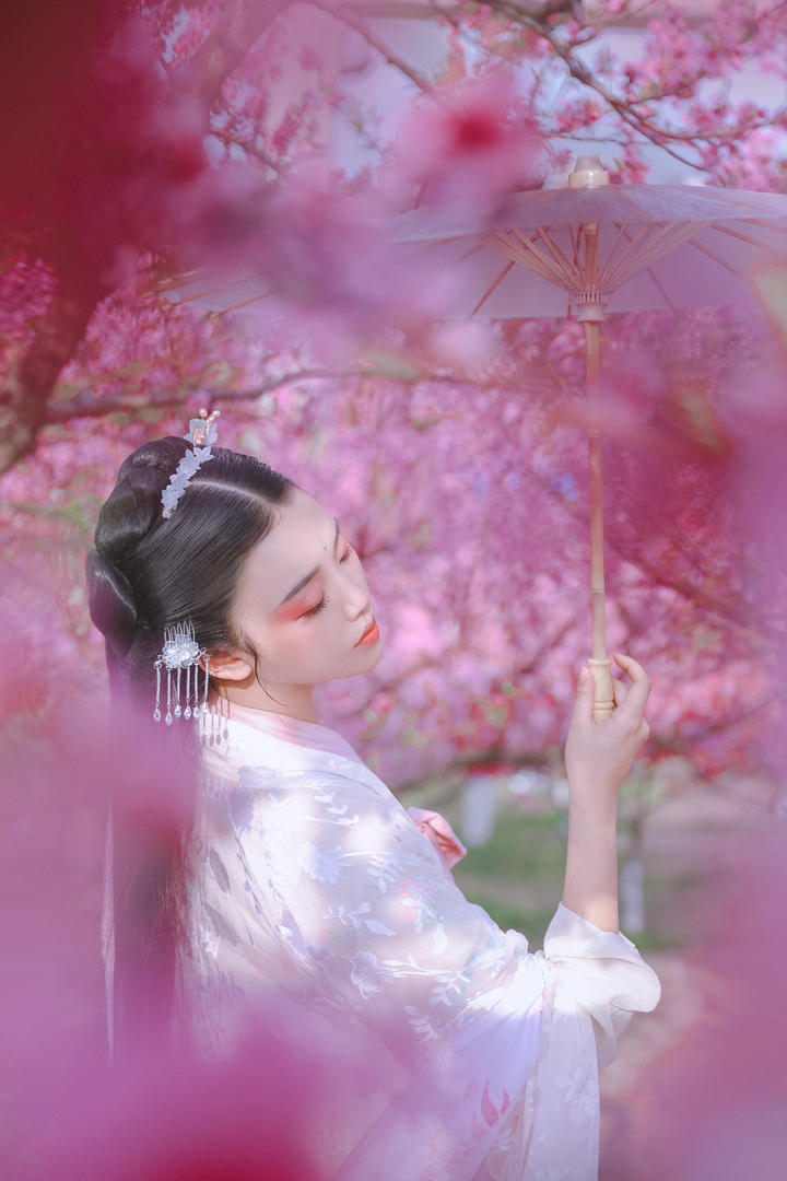 超高清樱花下的古装美女图片