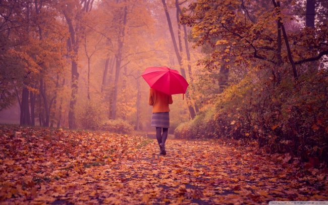 伤感唯美背影图片