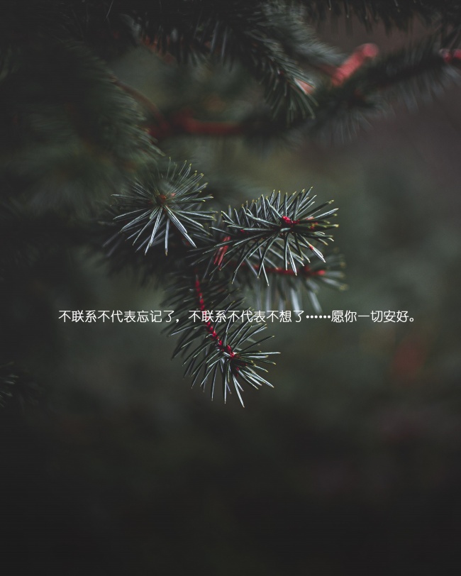 愿一切安好说说图片