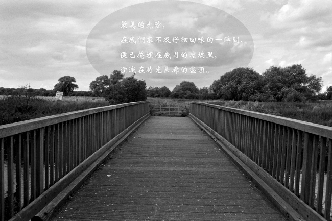 黑白说说心情文字图片