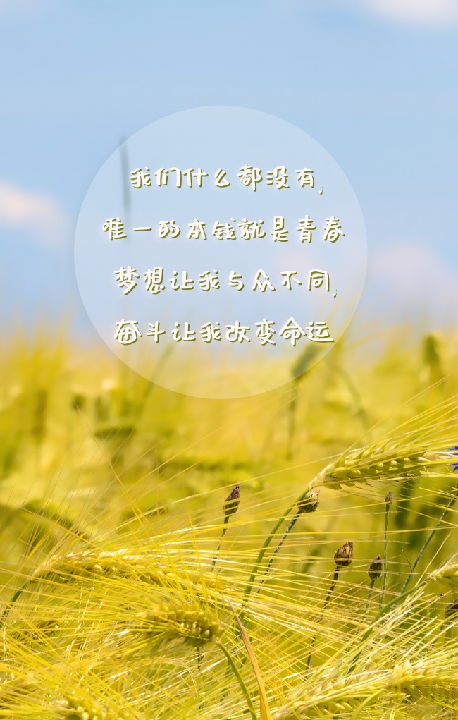 简单正能量生活语录图片