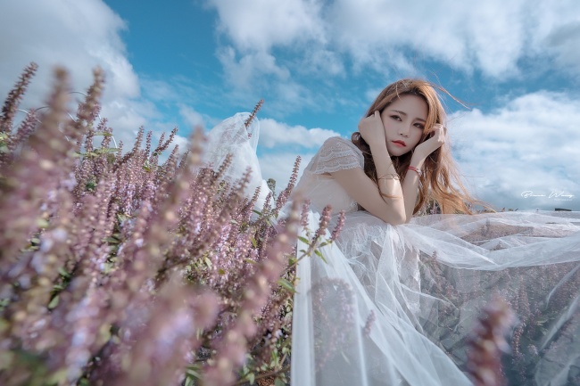 唯美花海婚纱照图片