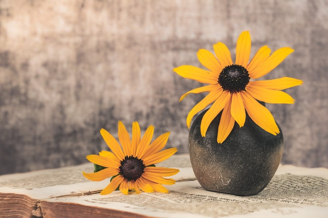 复古美学插花图片摄影