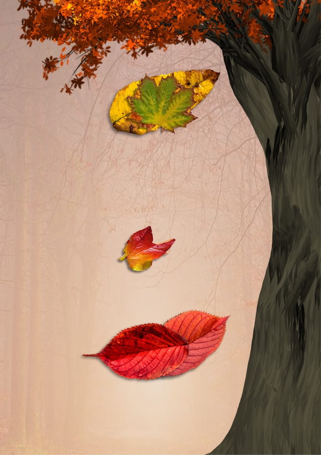 秋天树叶另类摄影图片