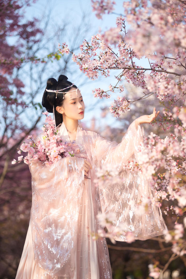 樱花树林里极品美女古装摄影套图免费下载